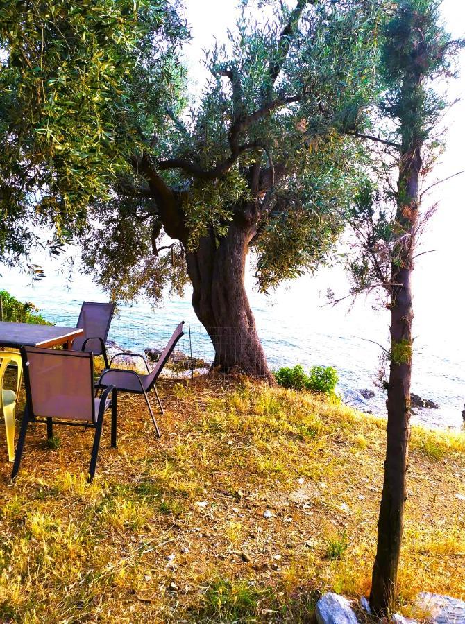 לפוקסטרו Villa Leonidas Greecefiloxenia מראה חיצוני תמונה