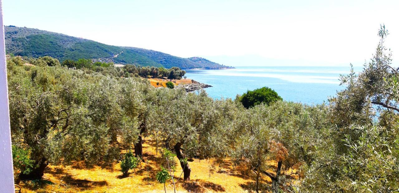 לפוקסטרו Villa Leonidas Greecefiloxenia מראה חיצוני תמונה