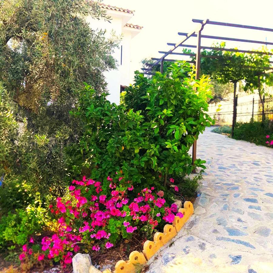 לפוקסטרו Villa Leonidas Greecefiloxenia מראה חיצוני תמונה