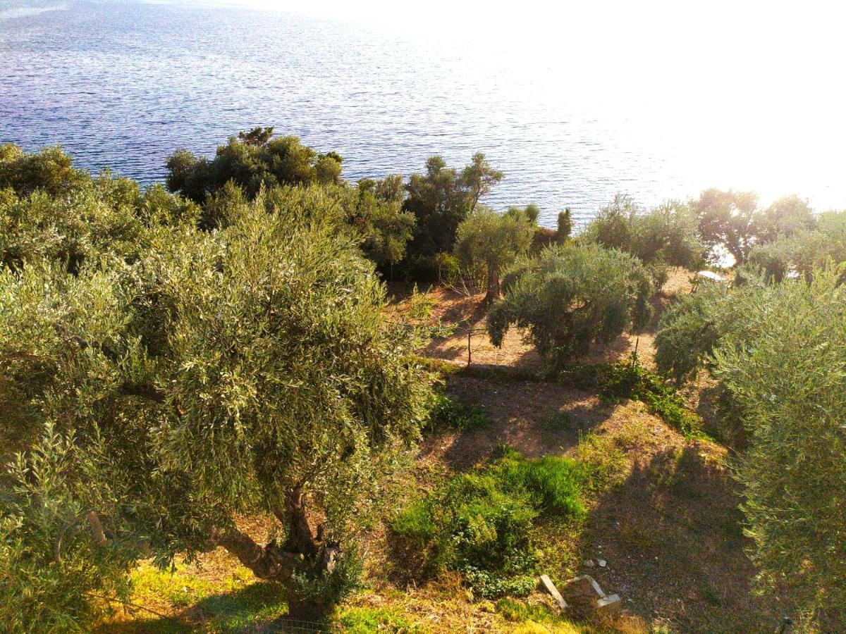לפוקסטרו Villa Leonidas Greecefiloxenia מראה חיצוני תמונה