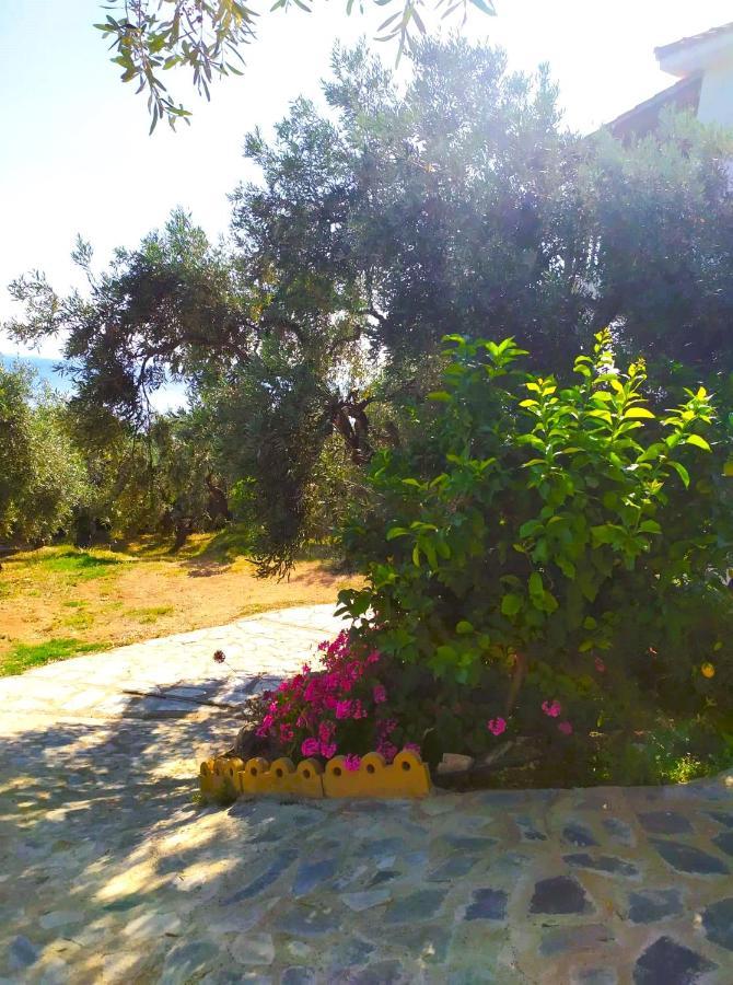לפוקסטרו Villa Leonidas Greecefiloxenia מראה חיצוני תמונה